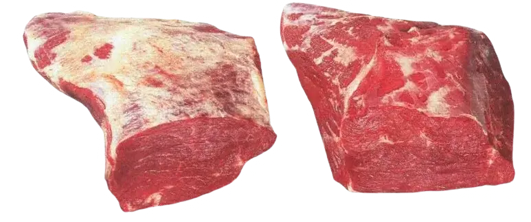 Sottofesa