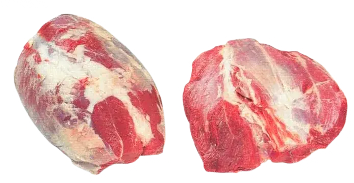 Campanella