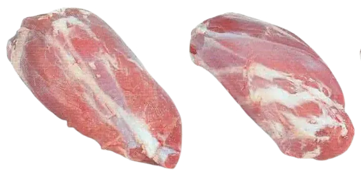 Campanella