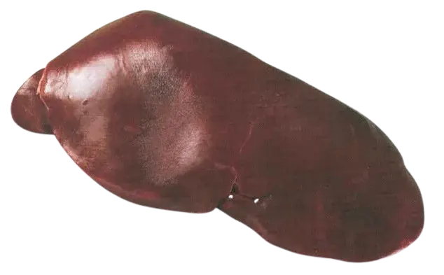 Fegato di Vitello