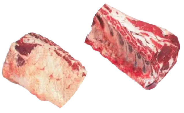 Tronchetto